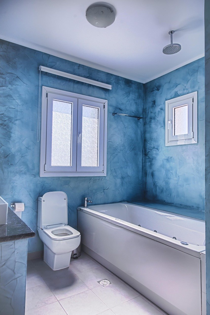 species, hygiene, home, toilet, toilet, toilet, toilet, toilet, toilet