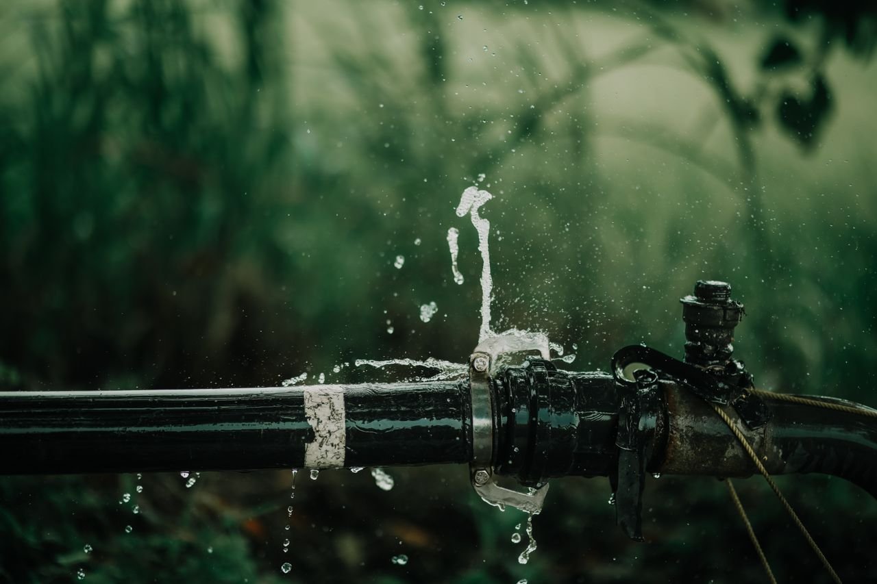 A detailed view of a leaking water pipe in a lush green garden setting.