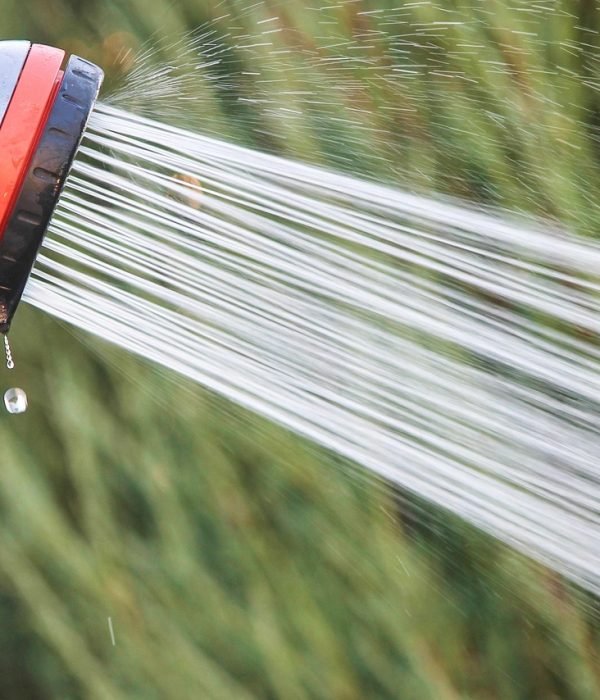 water jet, nature, shower, garden shower, shower head, water, spühen, gardening, jet, water shower, hose shower, hose, garden hose, hand shower, rain
