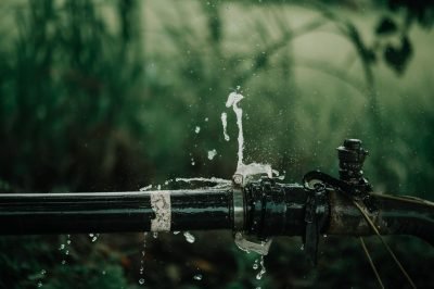 A detailed view of a leaking water pipe in a lush green garden setting.